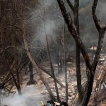 Death Toll Rises as Chile Struggles to Contain Deadly Wildfires